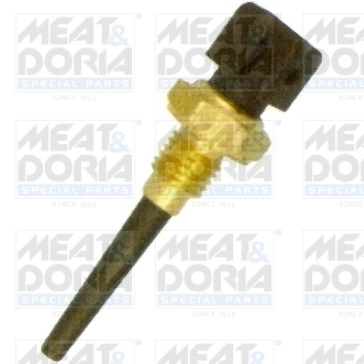 Sensor, intake air temperature